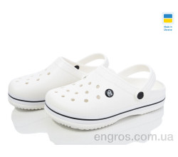 Кроксы Golden Lion